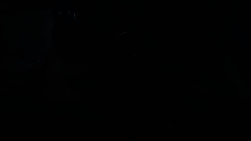 沼喷龙喷射毒液技能展示，背景为泥泞沼泽地形