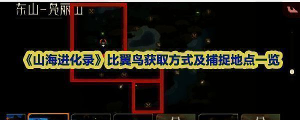 比翼鸟一阶段形象展示，成对出现在草丛中，羽毛色彩绚丽