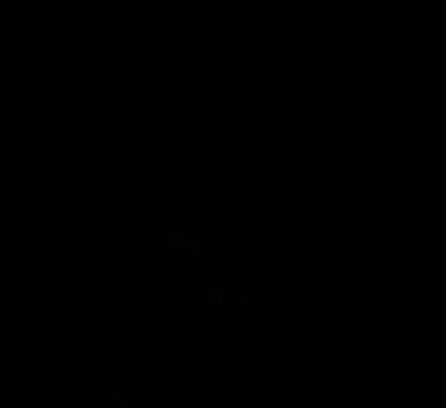 地图最终完成界面，展示所有事件完成后的场景