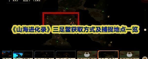 三足鳖不同阶段形态展示，展示从一阶段到三阶段的外形变化