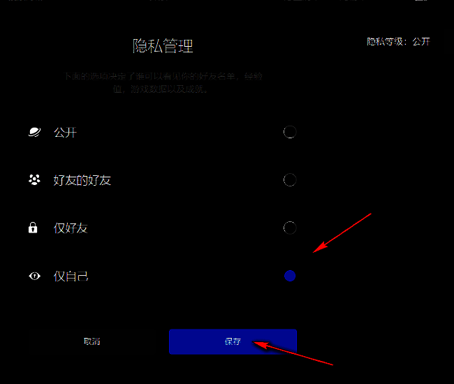 隐私管理界面成就设置截图，显示仅自己选项已被勾选并准备保存