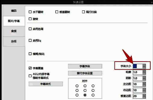 右侧设置区域展示字幕大小调节选项
