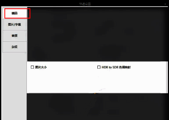 快速设置窗口内左侧栏显示编码选项被选中，右侧为相关参数设置