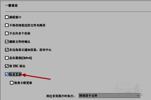 “一般”设置页面中“检查更新”选项被勾选的状态展示