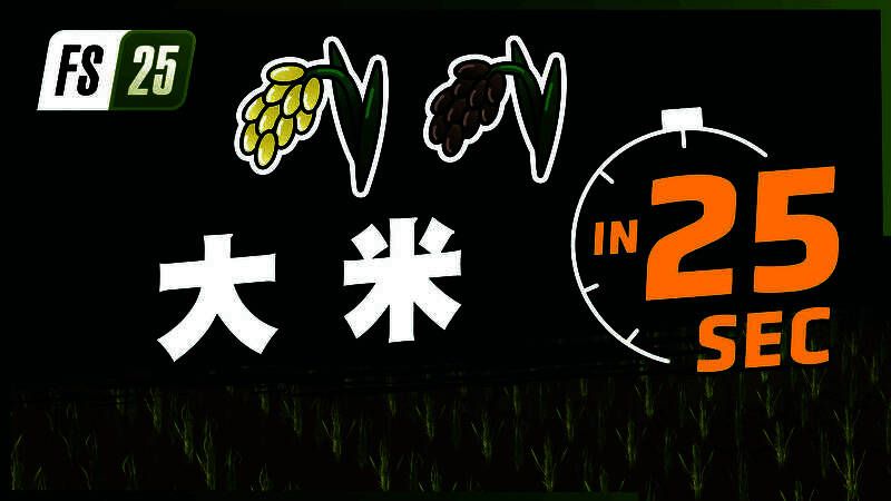 《Farming Simulator 25》游戏画面展示大米种植场景，稻田整齐排列，农用车辆正在作业