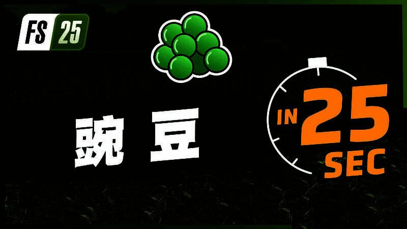 《Farming Simulator 25》豌豆种植画面，绿色豆苗整齐排列，阳光洒满田间