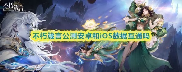 不朽箴言游戏内玩家组队互动界面，显示跨平台好友列表和聊天信息