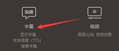 字幕设置主界面，左侧为字幕相关功能列表