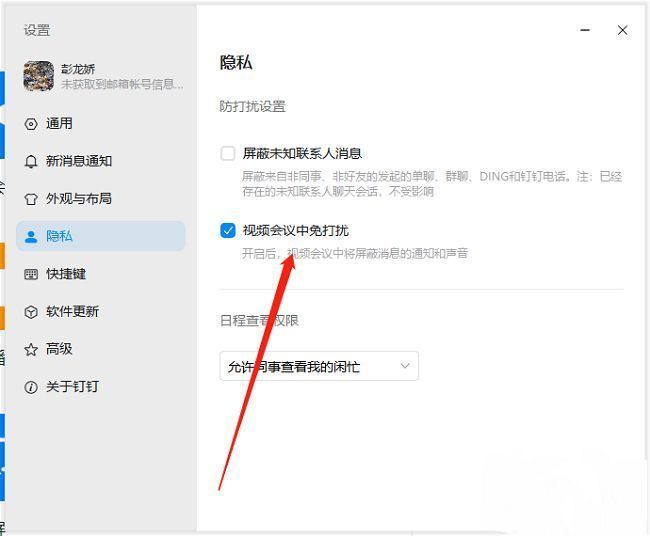 钉钉隐私设置页面中‘视频会议中免打扰’选项已勾选，显示为开启状态