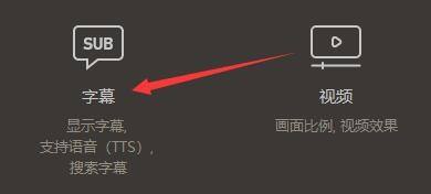 GOMPlayer设置窗口中的字幕选项被高亮选中，界面清晰展示各功能分类