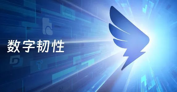 钉钉主界面示意图，显示聊天列表、工作台应用图标及视频会议入口