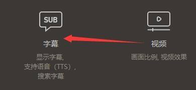GOMPlayer设置窗口中的字幕选项被高亮选中，界面清晰明了