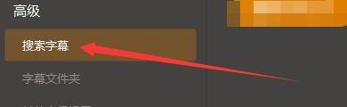 左侧菜单已选中‘搜索字幕’选项，右侧对应设置区域同步更新