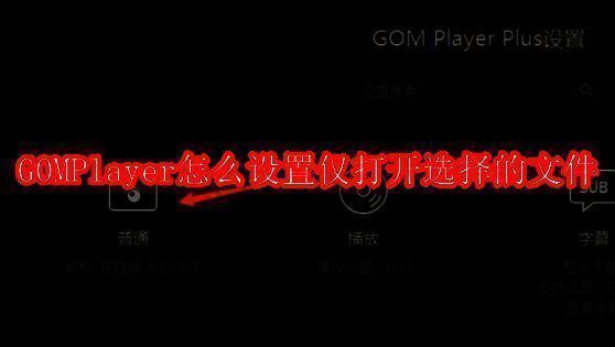 GOMPlayer主界面展示，界面上方有播放控制按钮和菜单选项，整体界面简洁直观