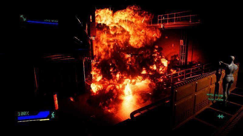 游戏设置界面截图，显示语言选项仅为English，网络连接状态提示已登录Epic Online Services账号