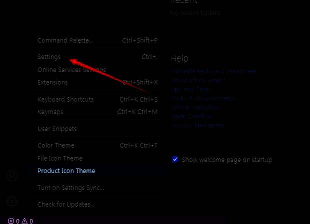 VSCode设置菜单展开状态，Settings选项被高亮显示