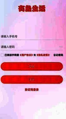 商品详情页面截图，显示立即购买和加入购物车按钮布局