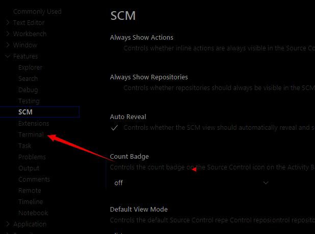VSCode设置页面中Terminal分类被选中的界面截图