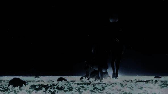 Accord's Library网站页面截图，展示横尾太郎作品相关资料归档界面