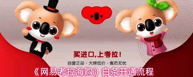 网易考拉商品详情页显示白条支付选项，下方有明显白条标识按钮