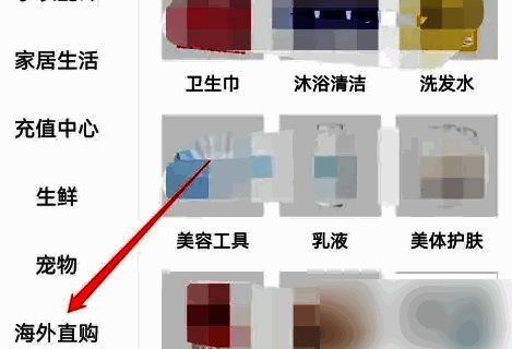海外直购专区入口截图，红色边框突出显示【海外直购】按钮位置，周围为其他商品分类