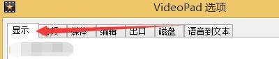 选项窗口上方标签页显示‘显示’选项卡被选中状态