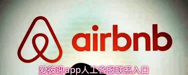 爱彼迎APP界面展示‘我的’页面，红色箭头指向底部的‘向我们反馈’按钮