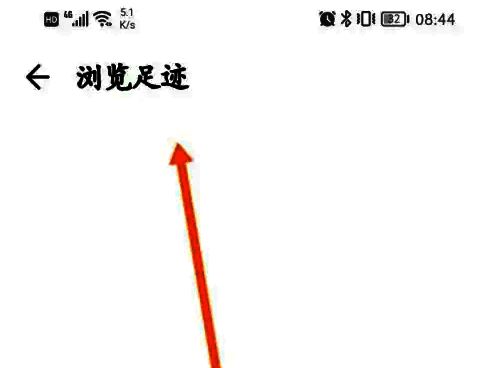 某条具体浏览记录的详情预览界面，显示完整案例信息