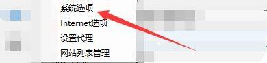 系统选项在菜单中被高亮显示，箭头指示点击位置，界面布局清晰直观
