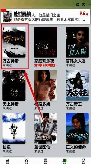 书架内某本书的阅读进度界面，展示最后阅读章节与时间记录