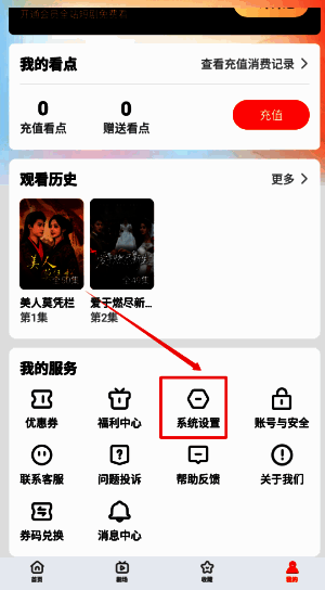 繁华剧场设置界面截图，箭头指向‘青少年保护’选项，界面清晰标注操作路径