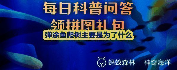 神奇海洋答题界面展示弹涂鱼爬树的趣味画面，背景为红树林湿地生态