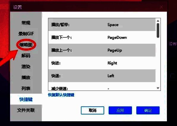 设置窗口左侧列表选中‘缩略图’项，右侧为对应设置内容