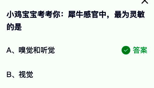犀牛站立在草原上，突出其大耳朵和鼻子特写，展示敏锐感官特征