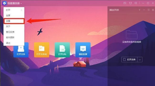 恒星播放器下拉菜单中‘设置’选项被高亮显示