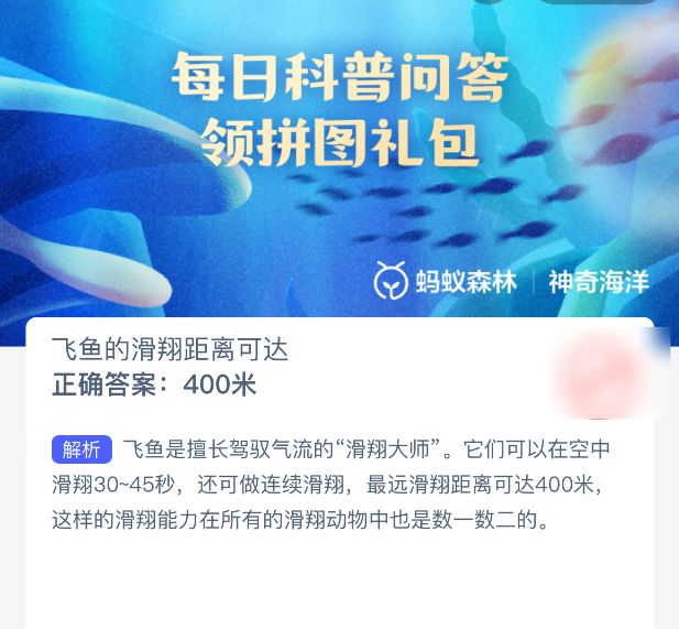 飞鱼跃出海面进行空中滑翔的动态瞬间，身体伸展如翼，阳光洒在波光粼粼的海面上