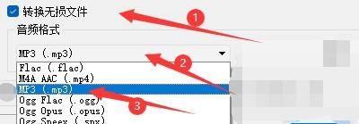 音频格式下拉菜单中MP3选项被选中，界面显示已成功切换