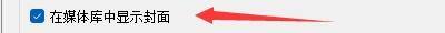 媒体库设置页面中‘在媒体库中显示封面’选项已被勾选，旁边有说明文字解释其功能