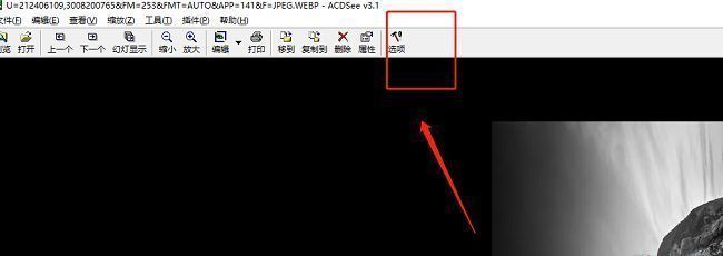 ACDSee软件界面，展示顶部编辑菜单及下拉选项中的‘选项’入口