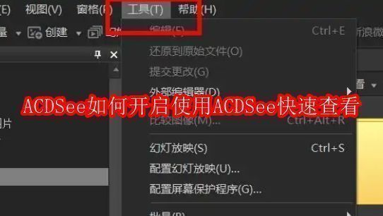 ACDSee软件主界面展示，界面上方为菜单栏和工具选项，整体布局清晰直观