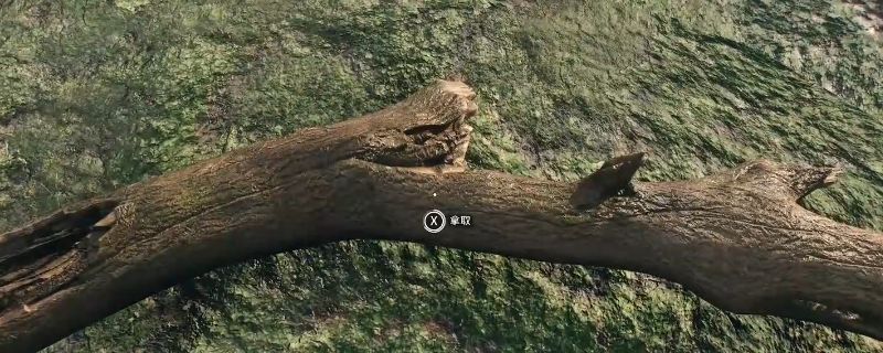 《消逝的光芒：困兽》游戏中河狸棍所在位置截图，显示工业区河道旁可拾取的木头
