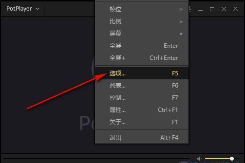 PotPlayer右键菜单界面，显示‘选项’按钮被选中