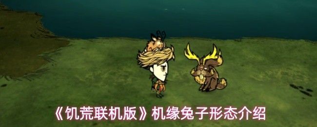 《饥荒联机版》中机缘兔子站立于月光下的草地，耳朵竖起，眼神闪烁神秘光芒，周围漂浮微弱光点