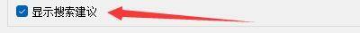 ‘显示搜索建议’复选框已被勾选的设置截图