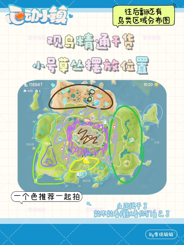 小鹿塔高地视角全景图，标注多个鸟类刷新热点