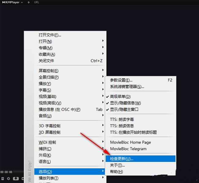 KMPlayer选项界面中的检查更新功能位置特写