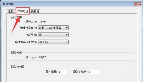 文件处理选项卡被激活，显示相关参数设置区域