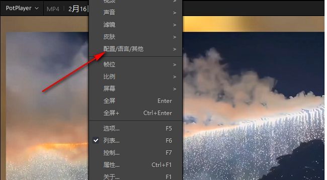 PotPlayer右键菜单中选择配置语言及其它选项的操作界面截图