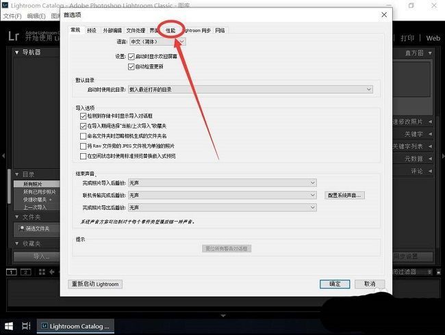 性能选项卡界面展示，包含内存使用、图形处理器启用状态及缓存设置区域