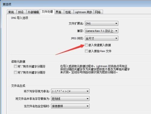 ‘嵌入快速载入数据’复选框已被勾选，旁边文字说明其作用为加快图像载入速度